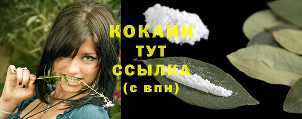 дмт Пестово