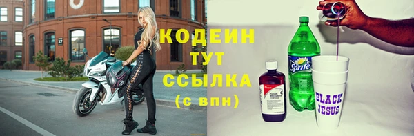 дмт Пестово