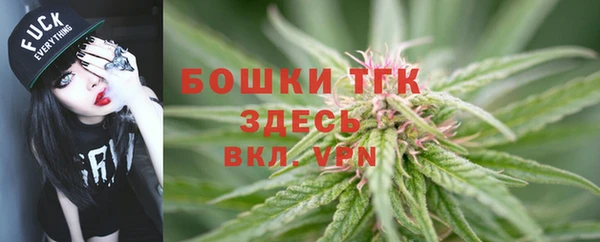 ECSTASY Пересвет