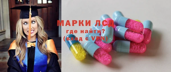 ECSTASY Пересвет