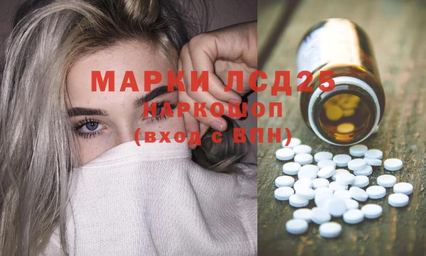 ECSTASY Пересвет