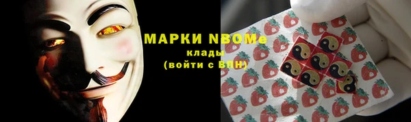 дмт Пестово