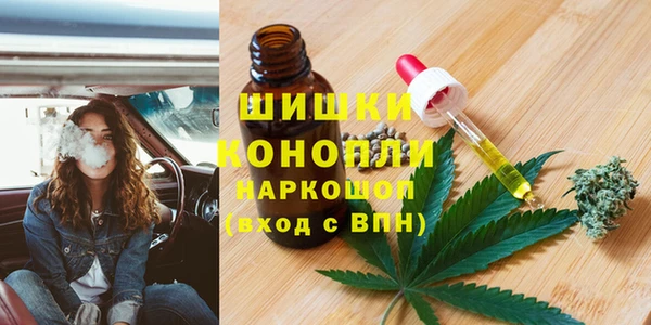 ECSTASY Пересвет