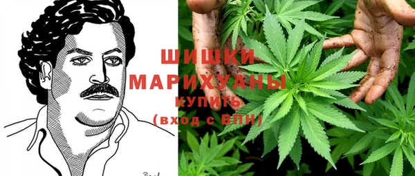 дмт Пестово