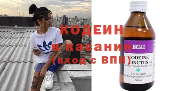 ECSTASY Пересвет